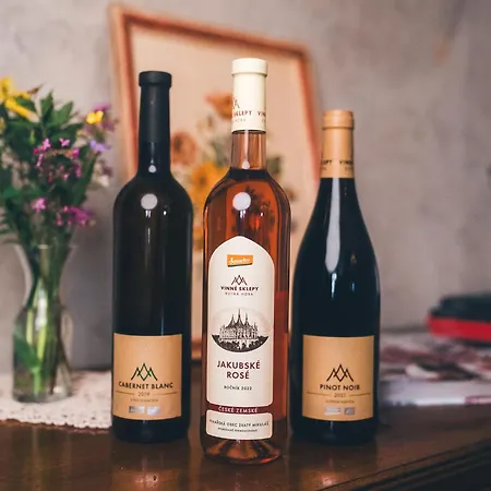 Monastery Garden Bistro&rooms 4* Český Krumlov